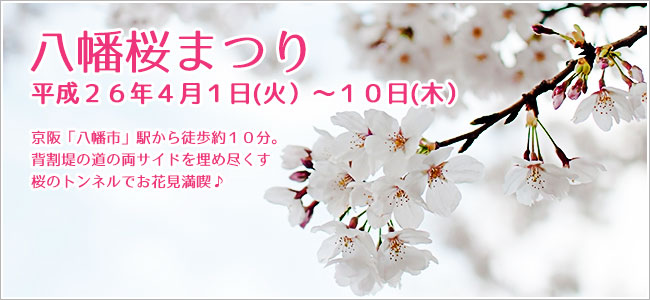八幡桜まつり